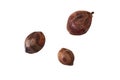 Group coconuts on white background Royalty Free Stock Photo