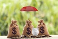 Group coins and US dollar bag, piggy bank Under the red umbrella. Concept risk protecting, wealth management and long term money Royalty Free Stock Photo