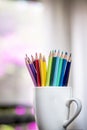 A group of color pencils in a white cup Royalty Free Stock Photo