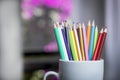 A group of color pencils in a white cup Royalty Free Stock Photo