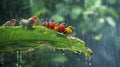 A group of colorful birds taking shelter under a large leaf during a monsoon rainstorm Royalty Free Stock Photo