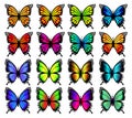 Group of Colorful Butterflies. Butterfle silhouette. Vector illustration