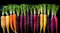 A group of colorful carrots on a black background, AI Royalty Free Stock Photo