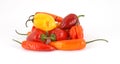 Group of colorful chili hot peppers