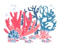 Group of colorful corals. Color vector hand drawn illustration