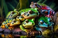 Group of colorful frogs sitting on top of rock next to body of water. Generative AI