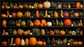 Group of colorful gourds in an eye catching arrangement