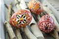 Group of colorful painted Easter eggs on birch branches Royalty Free Stock Photo