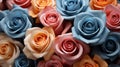 A group of colorful roses pattern