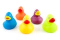 Group of colorful rubber ducks
