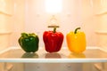 Group of colorful and variety organic sweet peppers or bell pepper, gree, red and yellow color, put on the shelves