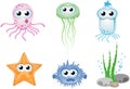 Group of colourful sea creatures