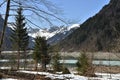 Group of conifer tree in foreground of KlÃÂ¶ntalersee lake