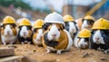 group of construcion worker guinea pigs wearing helmets on construction site .ai generated Royalty Free Stock Photo
