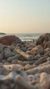 a group of coral rocks lying on the beach Royalty Free Stock Photo