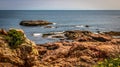 Cormorants and seagulls resting