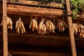 Corn cobs hanging from the roof - Canale di Tenno Trentino Italy Royalty Free Stock Photo