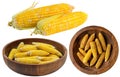 Fresh Corn Group Isolated on Transparent Background - Ideal for Natural Food, Farming, and Organic Agriculture Projects Royalty Free Stock Photo