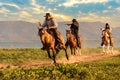 A group of cowboys riding horses.