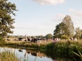 A group of cows blocking a country walk gate family from passing