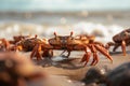 A group of crabs walking along a beach. Generative AI image.