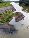 Crocodiles in a river in Costa Rica