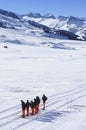 Group of crosscountry skiers resting