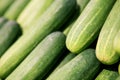 group of cucumbers on shelf in fresh market