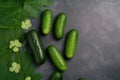 A group of cucumbers sitting on top of a table. AI generative image