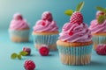 Group of Cupcakes With Pink Frosting and Raspberries Royalty Free Stock Photo