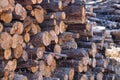 Group of cut and stacked logs ready for transport. Concept exploitation, natural resources, wood, trees, environment Royalty Free Stock Photo