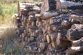 Group of cut and stacked logs ready for transport. Concept exploitation, natural resources, wood, trees, environment Royalty Free Stock Photo