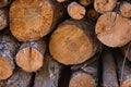 Group of cut and stacked timber logs ready for transport seen crosswise. Concept exploitation, natural resources, timber, trees, Royalty Free Stock Photo