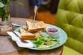 Group of Cut Toasted Sandwiches. Breakfast meal in cafe. Food concept Royalty Free Stock Photo