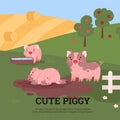 Group of cute and funny pigs playing in mud puddle, poster with text - cartoon flat vector illustration. Royalty Free Stock Photo