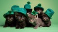 Group of cute kittens in green leprechaun hats on green background.