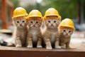 Group of cute little kittens in safety helmets on a construction site background, A group of small kittens wearing construction