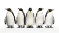 Group of cute penguin isolated on white background Royalty Free Stock Photo