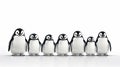 Group of cute penguin isolated on white background Royalty Free Stock Photo