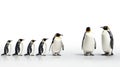 Group of cute penguin isolated on white background Royalty Free Stock Photo