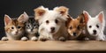 Group of cute puppies and kittens in a box on a dark background. ai generated Royalty Free Stock Photo