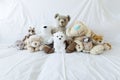 Group of cute stuffed animals on a white couch