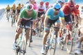 Group of Cyclist During a Race