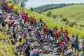 Group of Cyclists on Col du Grand Colombier - Tour de France 2016