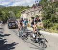 Group of Cyclists on Mont Ventoux - Tour de France 2016