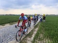 Group of Cyclists - Paris-Roubaix 2019