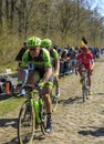 Group of Cyclists - Paris Roubaix 2015 Royalty Free Stock Photo