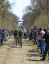 Group of Cyclists - Paris Roubaix 2015 Royalty Free Stock Photo