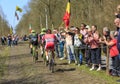 Group of Cyclists - Paris Roubaix 2015 Royalty Free Stock Photo