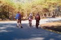 Group of cyclists is riding surrounding by fresh air, green forest and friends. Adventure travel. Sport and active life concept